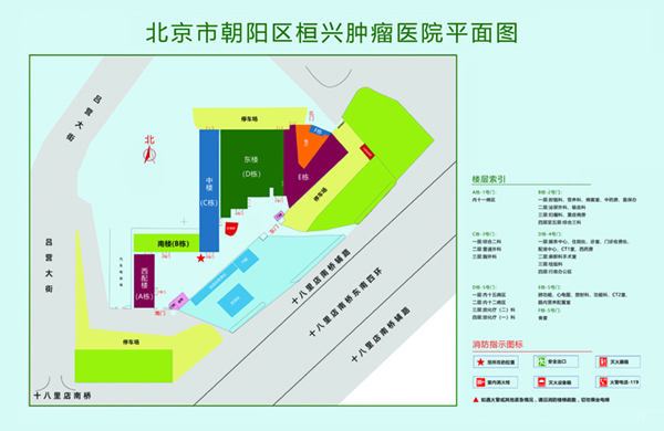 肏老肥屄视频北京市朝阳区桓兴肿瘤医院平面图